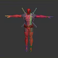 Deadpool Character in Red and Black Costume with Arms Outstretched Holding Katanas