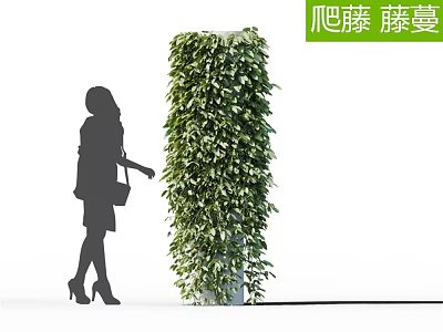 Climbing Vines Covering Pillar With Lush Green Foliage For Natural Decoration 3d model