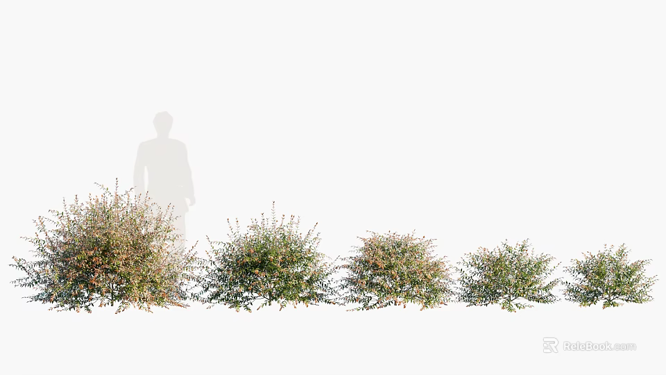 Dense Row of Healthy Garden Bushes with Person Silhouette Standing Nearby 3d model 
