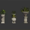 Ornamental Green Plants In Decorative Stone Pots With Carved Bases For Indoor