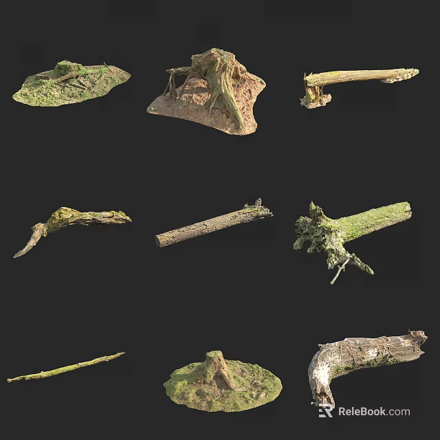 Natural Trees Trunks Branches And Roots With Wood Texture And Structure 3d model