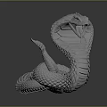snake cobra venomous snake python reptile cold-blooded animal reptile 3d model