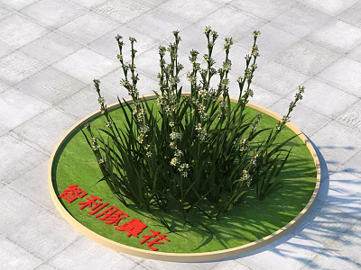 Chilean Hyacinth Flowers Growing In Outdoor Circular Green Lawn With Slate Ground 3d model