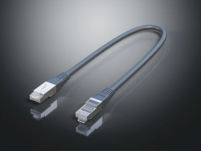 High Quality Gray Ethernet Cable with RJ45 Connectors for Digital Devices 3d model