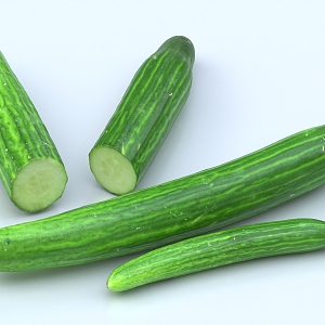 Cucumber Vegetable Fruit 3d model