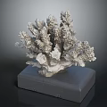 Elegant Coral Shaped Sculpture Decorative Display On Black Square Home Decor Base