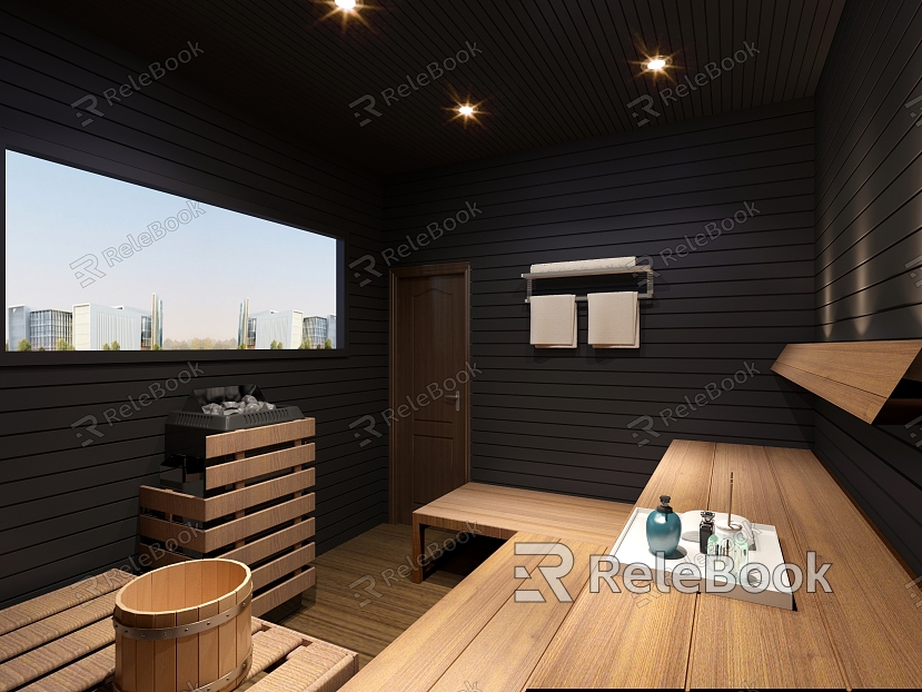 Modern Sauna Room model