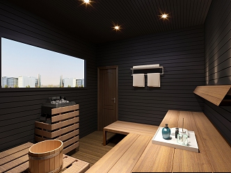 Modern Sauna Room 3d model