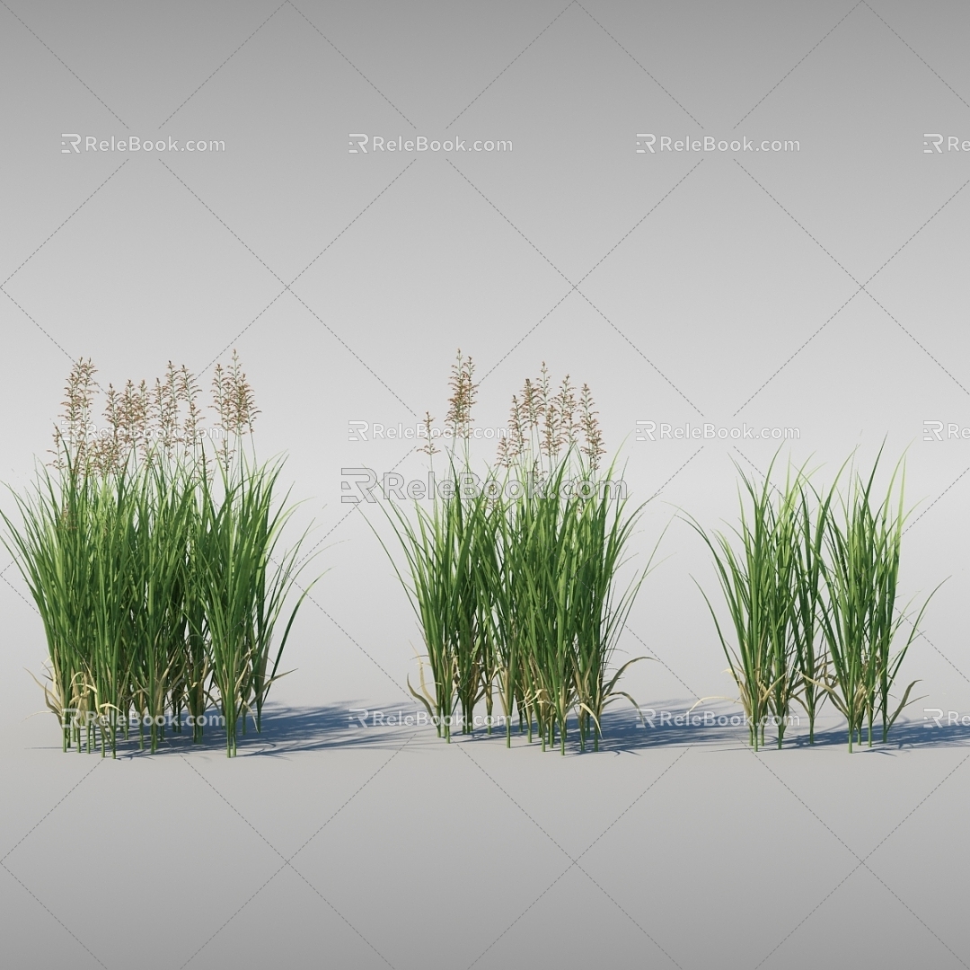 Moving water plants Dynamic reeds Moving reeds 3d model