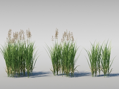 Moving water plants Dynamic reeds Moving reeds 3d model