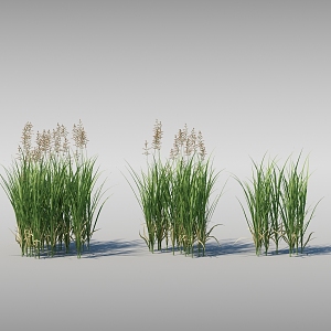 Moving water plants Dynamic reeds Moving reeds 3d model