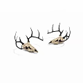 Decorative Deer Skulls With Intricate Antlers For Home Decoration