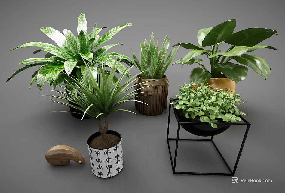 Potted Bonsai Plants With Various Green Leaves In Decorative Pots For Indoor Decoration 3d model 