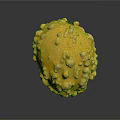 Yellow Fruit With Bumpy Surface And Round Shape On Dark Background