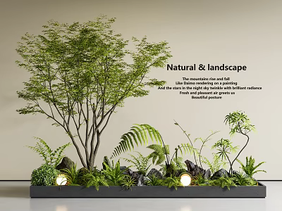 Natural Indoor Landscape With Lush Plants Harmonious Lighting And Comfortable Environment 3d model