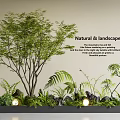 Natural Indoor Landscape With Lush Plants Harmonious Lighting And Comfortable Environment 3d model