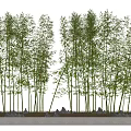 Tall Bamboo in Rectangular Stone Planter with Lush Green Leaves and Small Stones at Base