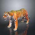 Realistic Tiger With Orange Black Striped Fur Standing Pose Against Dark Background With Reflection