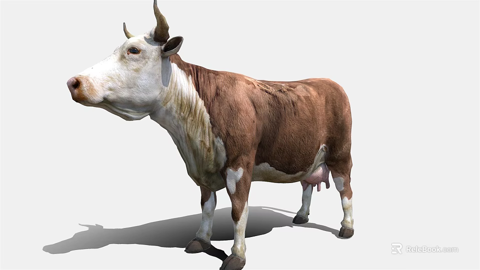 Realistic Brown And White Cow 3D Model With Detailed Fur And Horns 3d model 