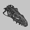 Detailed Dinosaur Skull Fossil With Anatomical Skeletal Structure On Gray Background