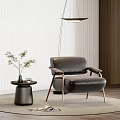 Modern Interior Leather Single Sofa With Metal Legs Round Side Table Green Plant Hanging Lamp