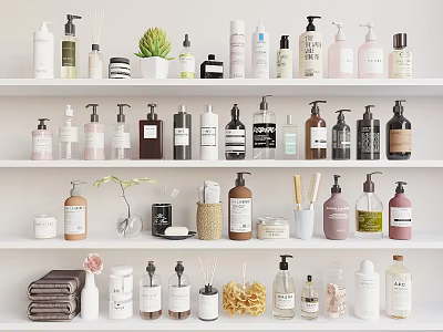 Various Cleaning And Daily Products On Shelves With Bottles Towels And Sponges 3d model