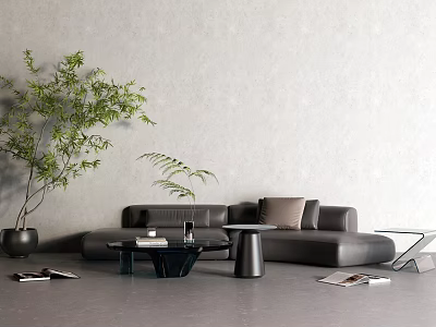 Black Leather Sofa And Coffee Table Set With Green Plant Pillows Magazines And Gray Wall 3d model