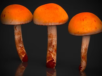 Fresh Orange Mushrooms With Round Caps White Stems And Red Bases On Dark Background 3d model