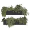 Two Black Rectangular Flower Planters with Various Green Hanging Plants Arranged Vertically 3d model