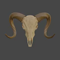 Decorative Ram Skull Taxidermy Mount For Wall Display And Home Decor