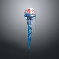 Colorful Jellyfish With Red And White Striped Body And Blue Tentacles On Gray Background