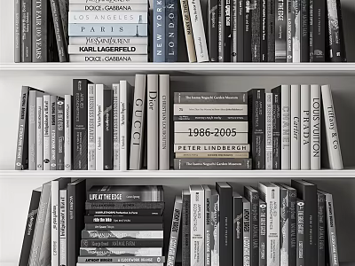Organized Bookshelf with Various Black White Gray Books Featuring Lifestyle and Chronicle Titles 3d model