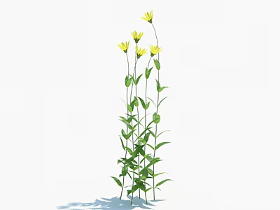 Several Green Plants With Yellow Flowers And Green Stems And Leaves On White Background 3d model