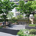Tranquil Residential Landscape With Lush Trees Greenery Benches People Relaxing And Sculpture
