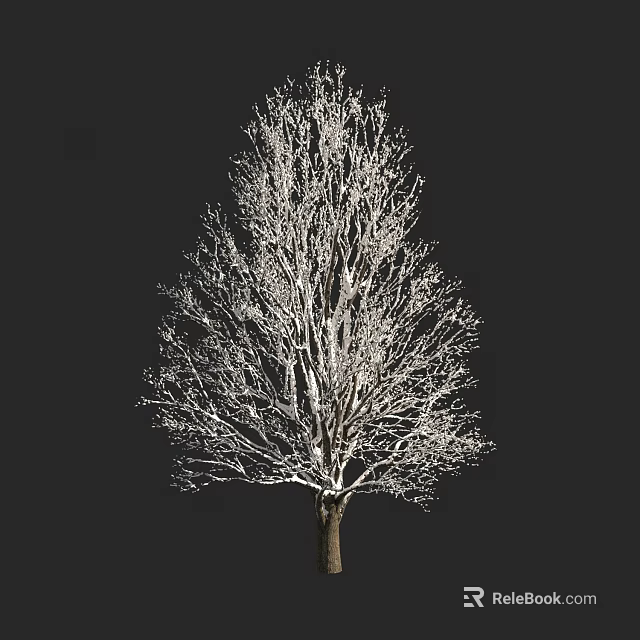 Bare Winter Arbor With Clear Silhouette And Intricate Branch Structure Against Dark Background 3d model 