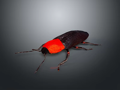 Distinctive Beetle With Bright Red Head And Shiny Black Body On Gray Gradient Background 3d model