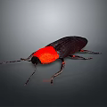 Distinctive Beetle With Bright Red Head And Shiny Black Body On Gray Gradient Background