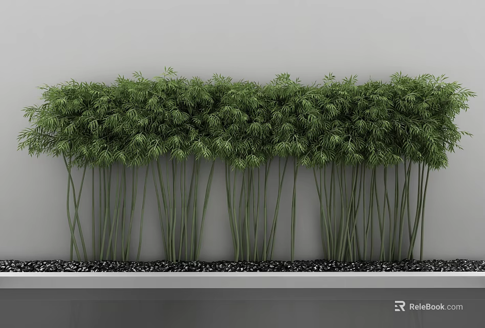 Green Bamboo Plants In White Rectangular Planter With Black Pebbles And Gray Wall 3d model 