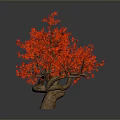 Bonsai Tree With Red Flowers And Brown Trunk Multiple Branches On White Background