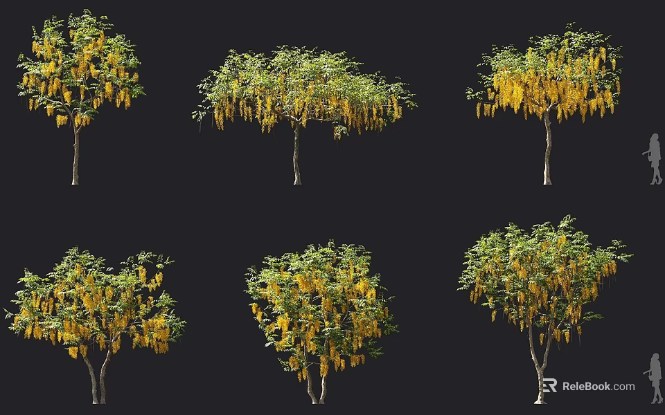 Arborescent Trees With Yellow Pendulous Blooms Showcased In Various Forms 3d model 