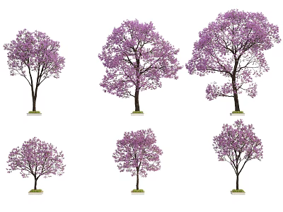 Decorative Tree Pit Designs Featuring Purple Flowering Trees In Different Growth Shapes 3d model