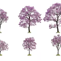 Decorative Tree Pit Designs Featuring Purple Flowering Trees In Different Growth Shapes 3d model