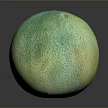 Juicy Ripe Green Yellow Netted Texture Melon on Smooth Black Surface for Daily Use