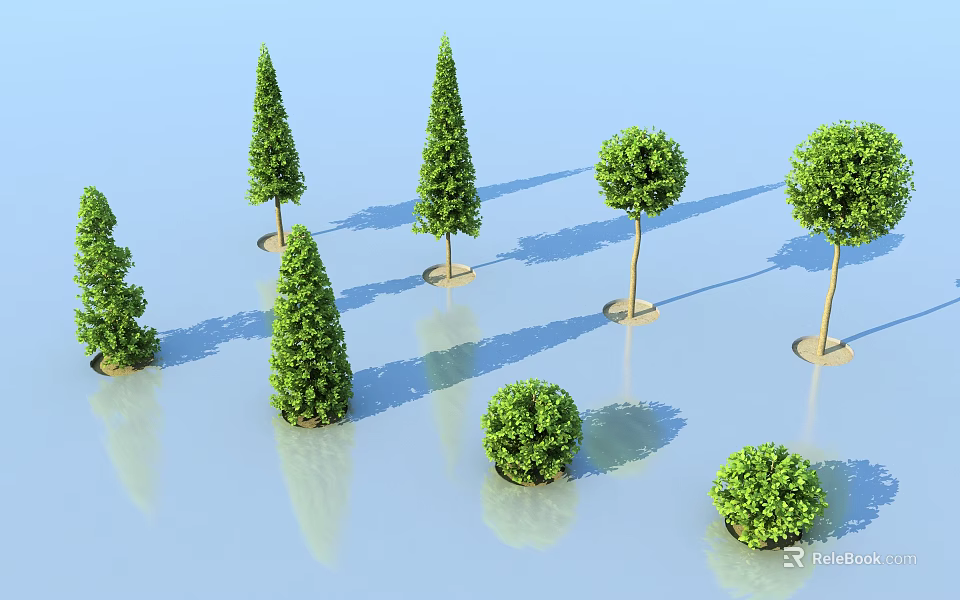 Various Shaped Arbor Trees With Green Foliage On Blue Background And Reflections 3d model