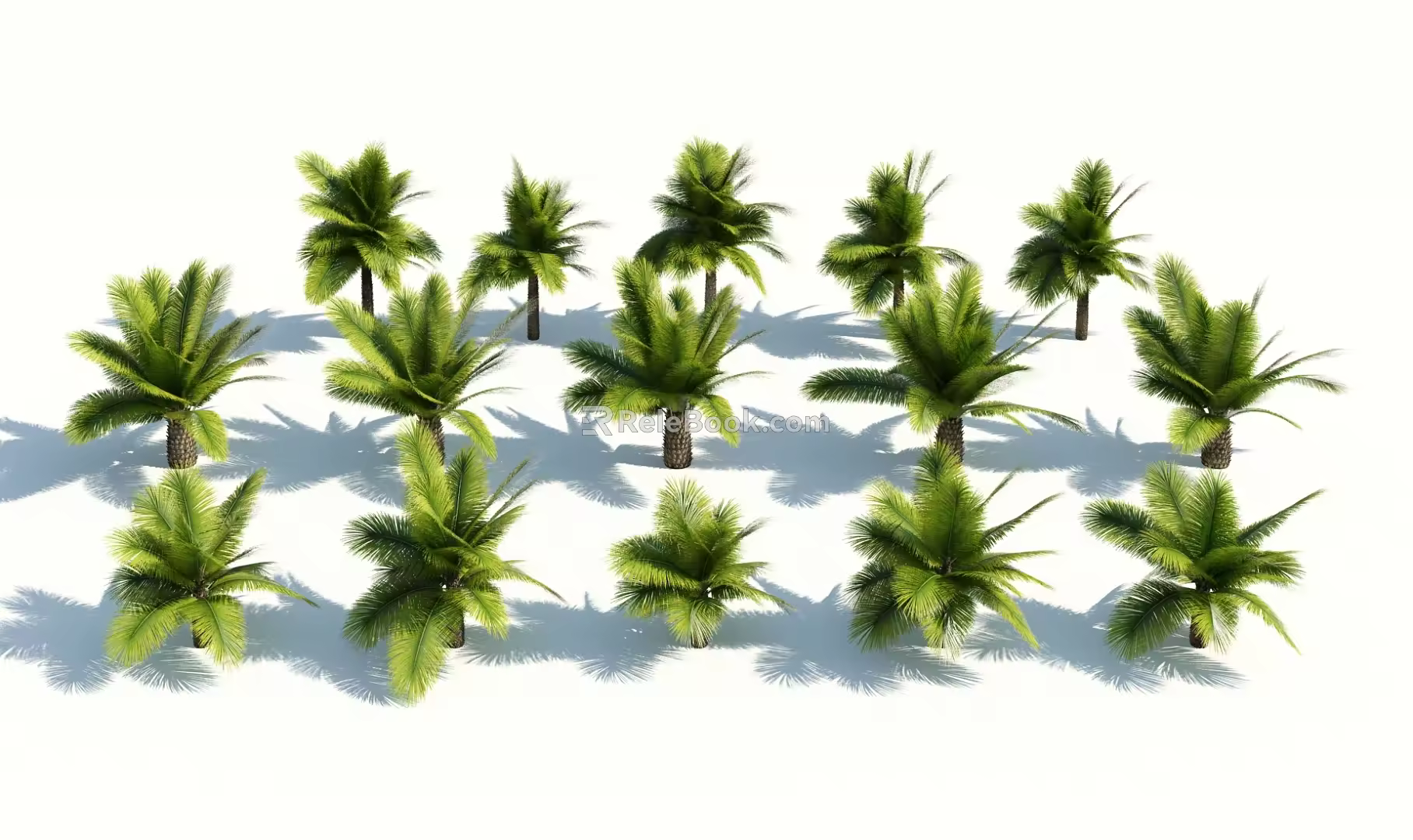 Modern Palm Tree 3d model