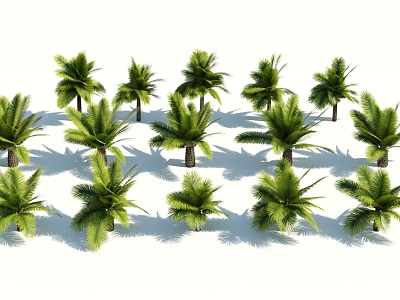 Modern Palm Tree model