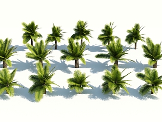 Modern Palm Tree 3d model