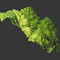 Fresh Romanesco Broccoli With Unique Spiral Structure And Vibrant Green Color