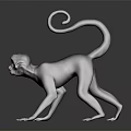 Realistic Black Monkey With Curled Tail Open Mouth On Black Background With Reflection 3d model