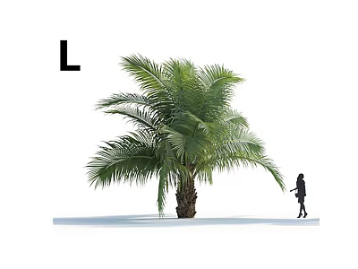 Tall Palm Tree With Little Girl Standing Near Letter L 3d model